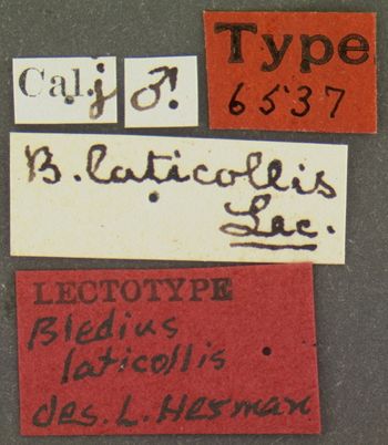 Media type: image;   Entomology 6537 Aspect: labels